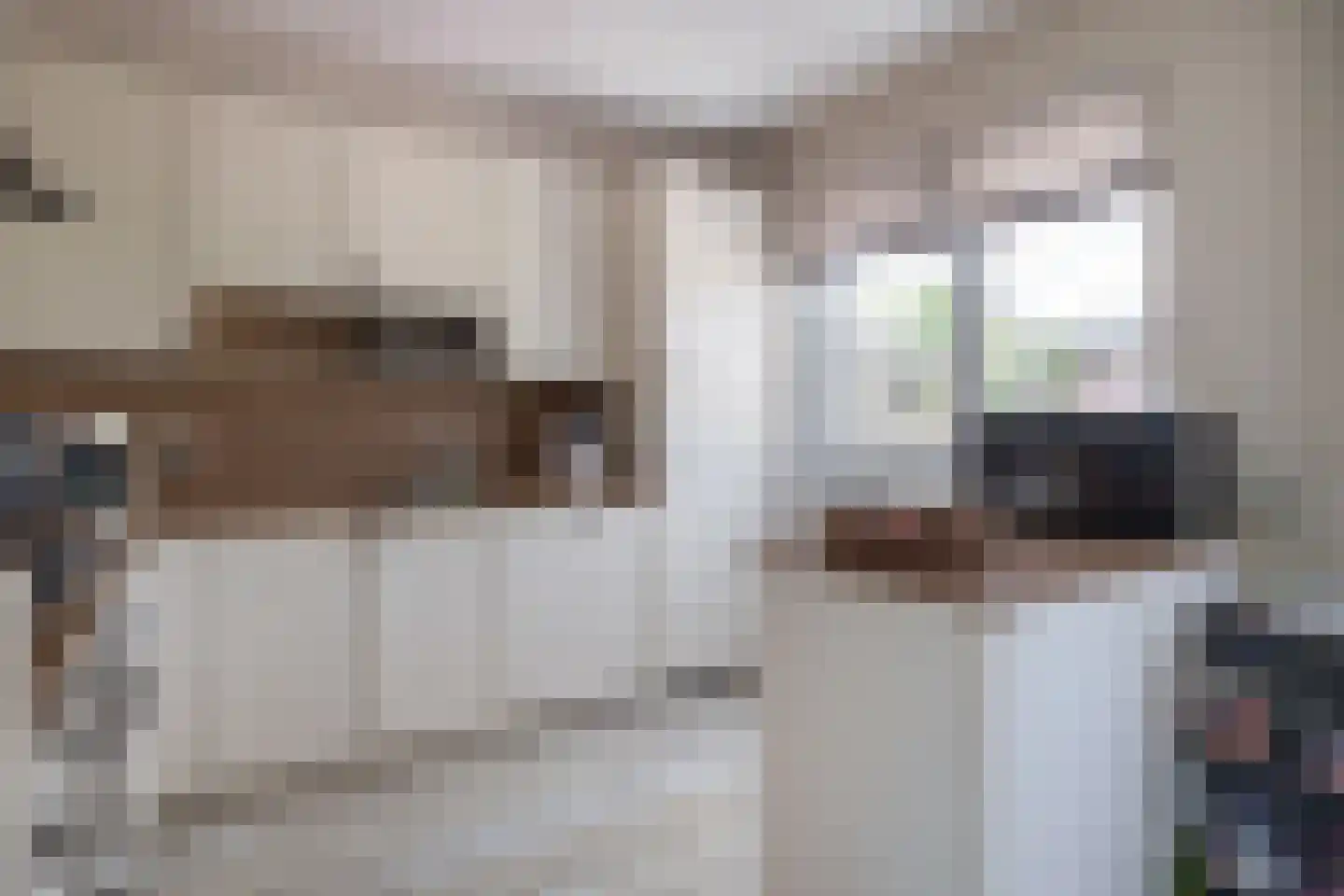 Patrijsstraat 18 Sommelsdijk thumbnail 4