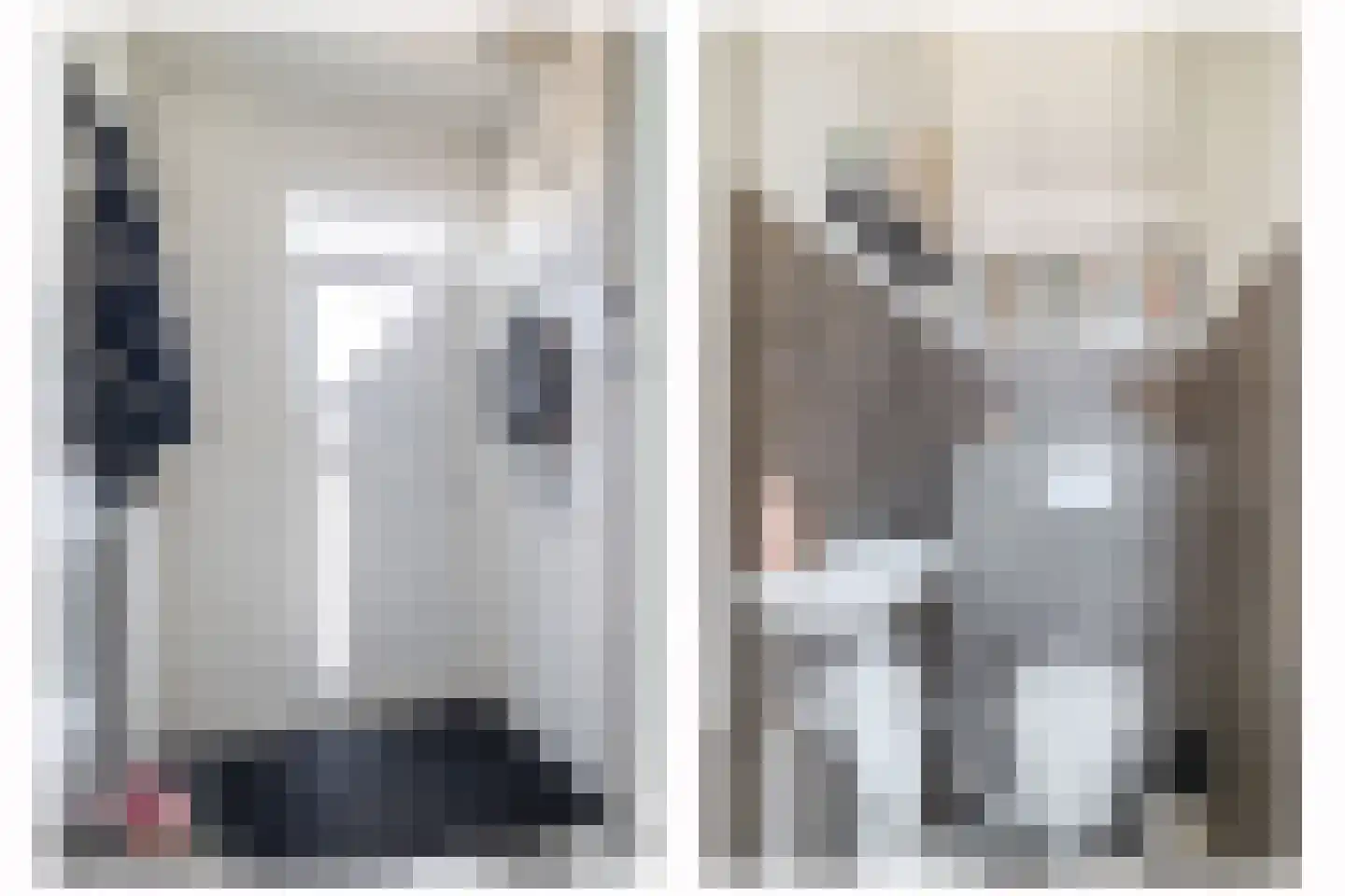 Patrijsstraat 18 Sommelsdijk thumbnail 7