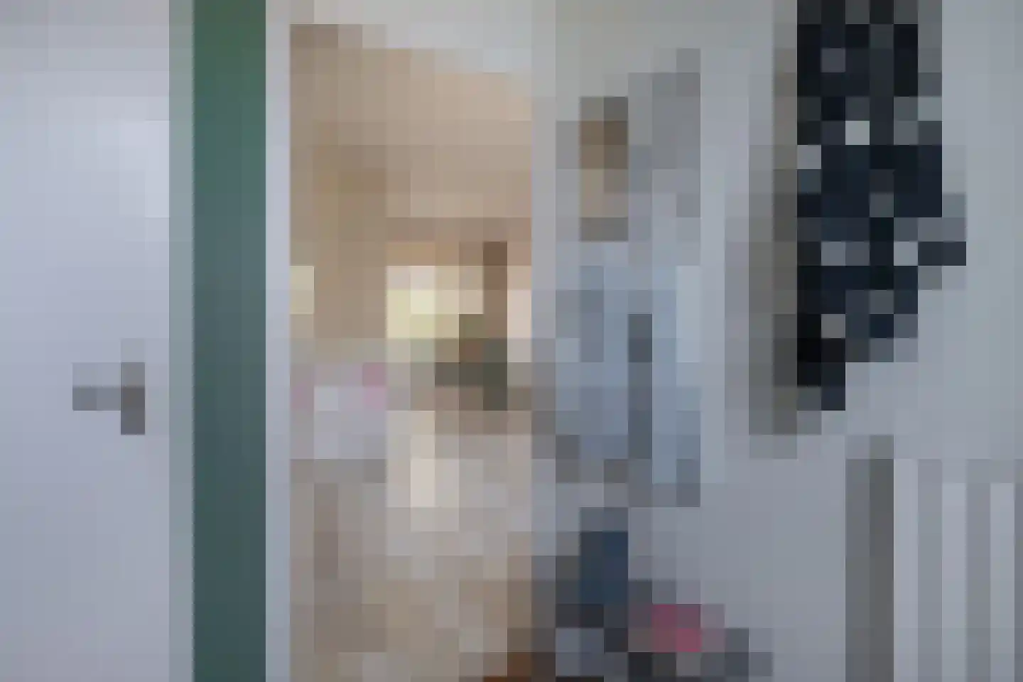 Patrijsstraat 18 Sommelsdijk thumbnail 8