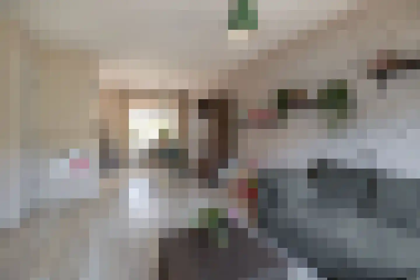Patrijsstraat 18 Sommelsdijk thumbnail 9