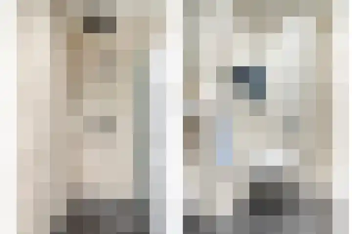 Patrijsstraat 19 Papendrecht thumbnail 13