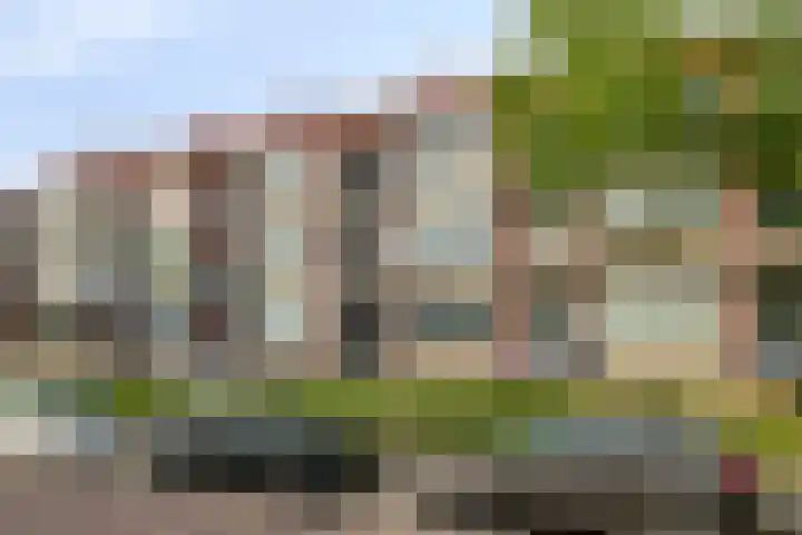 Patrijsstraat 19 Papendrecht thumbnail 37