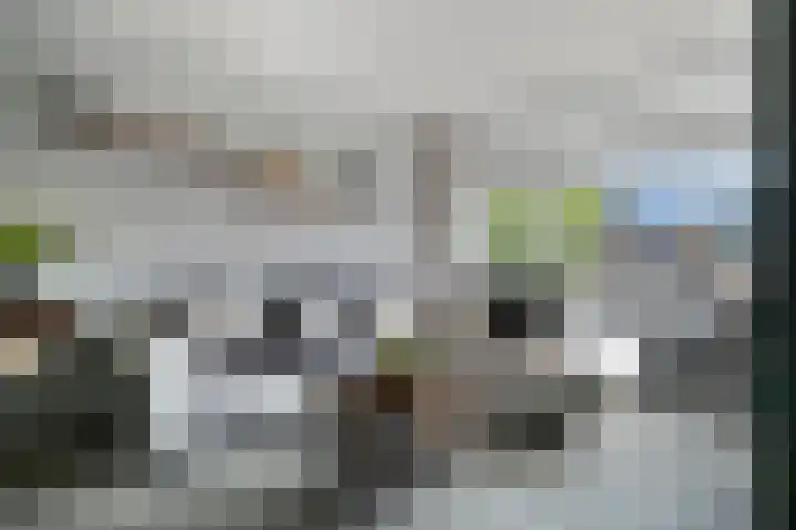 Patrijsstraat 19 Papendrecht thumbnail 4