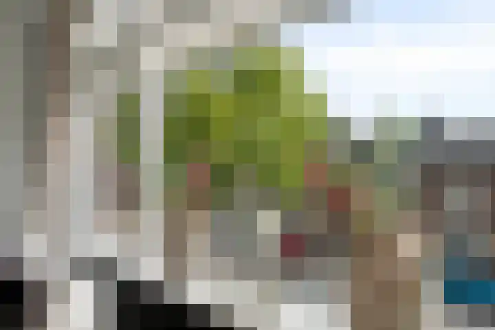 Patrijsstraat 19 Papendrecht thumbnail 5