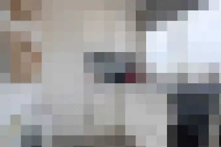 Patrijsstraat 19 Papendrecht thumbnail 9