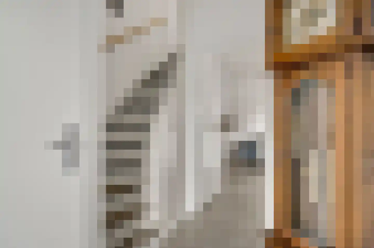 Patrijsstraat 2 Herkenbosch thumbnail 15