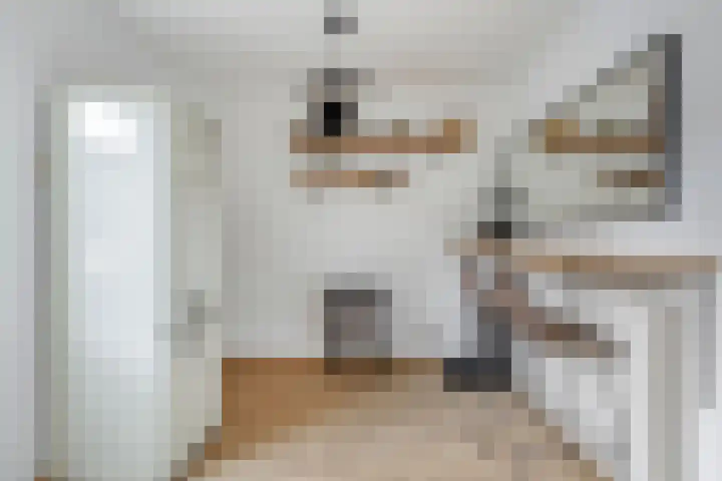 Patrijsstraat 20 Breda thumbnail 12