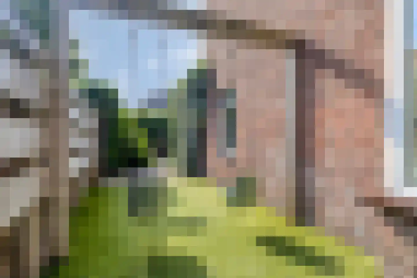 Patrijsstraat 20 Breda thumbnail 28