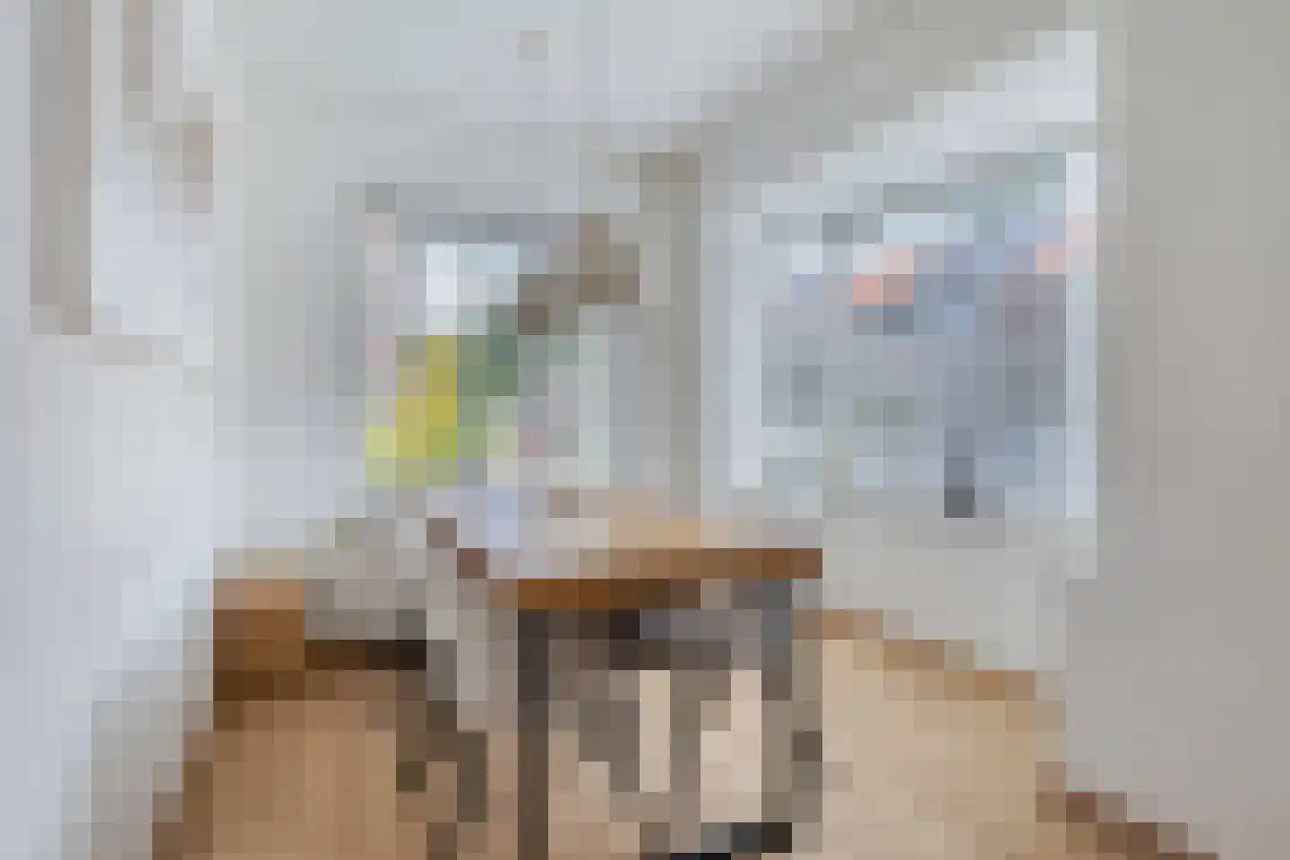 Patrijsstraat 20 Breda thumbnail 8