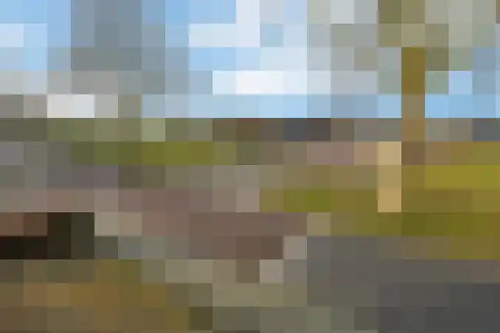 Patrijsstraat 20 Driel thumbnail 33