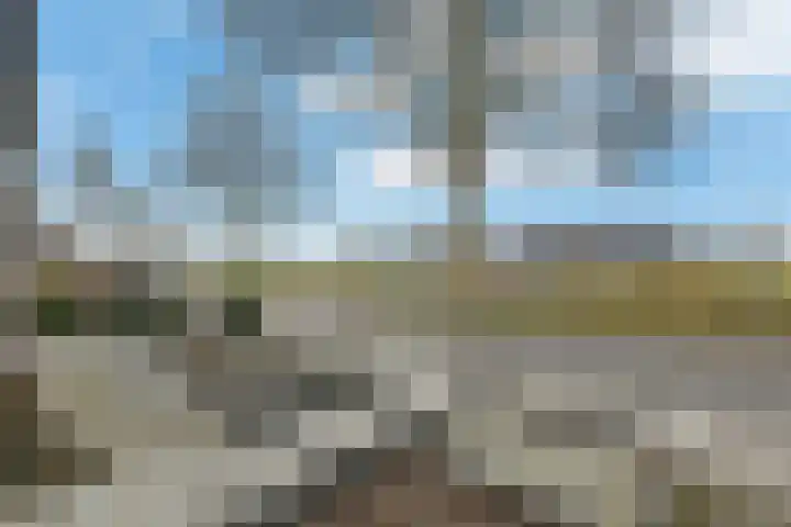 Patrijsstraat 20 Driel thumbnail 6