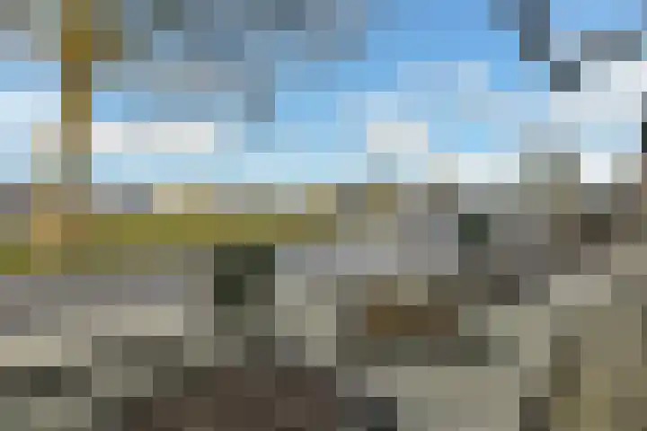 Patrijsstraat 20 Driel thumbnail 7
