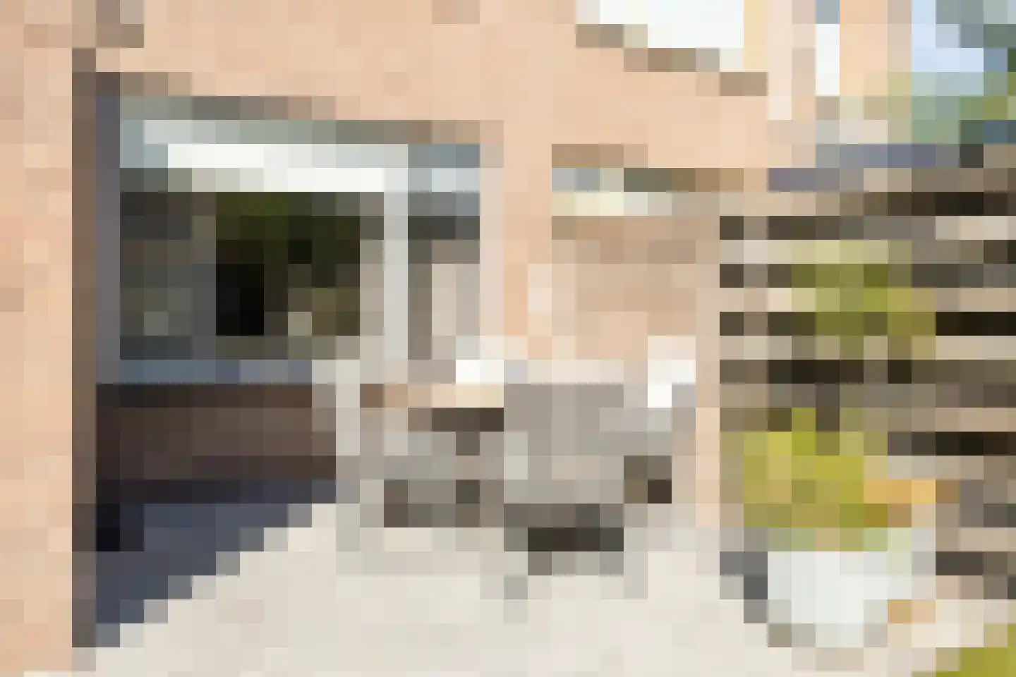Patrijsstraat 20 Made thumbnail 37