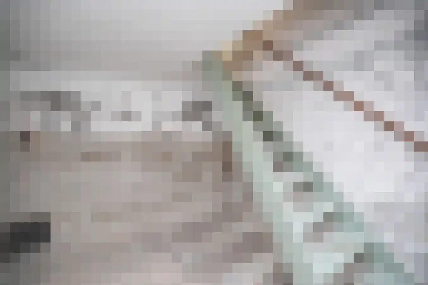 Patrijsstraat 20 Opheusden thumbnail 13