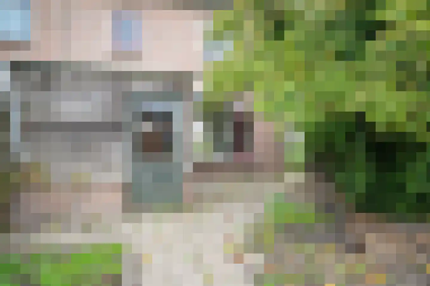 Patrijsstraat 20 Opheusden thumbnail 23