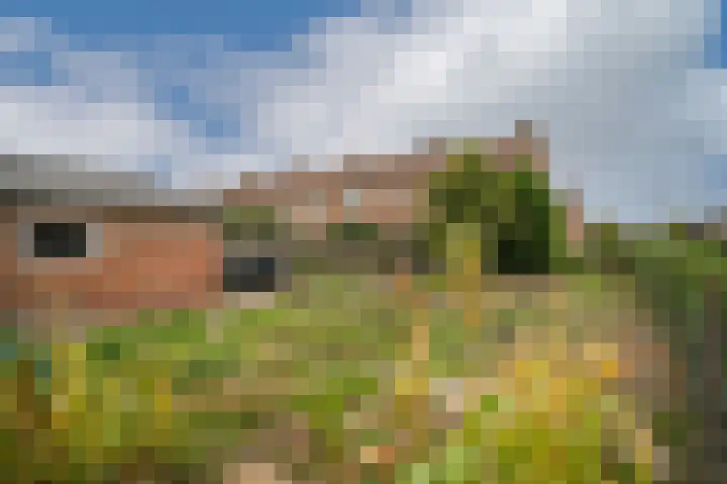 Patrijsstraat 20 Opheusden thumbnail 24