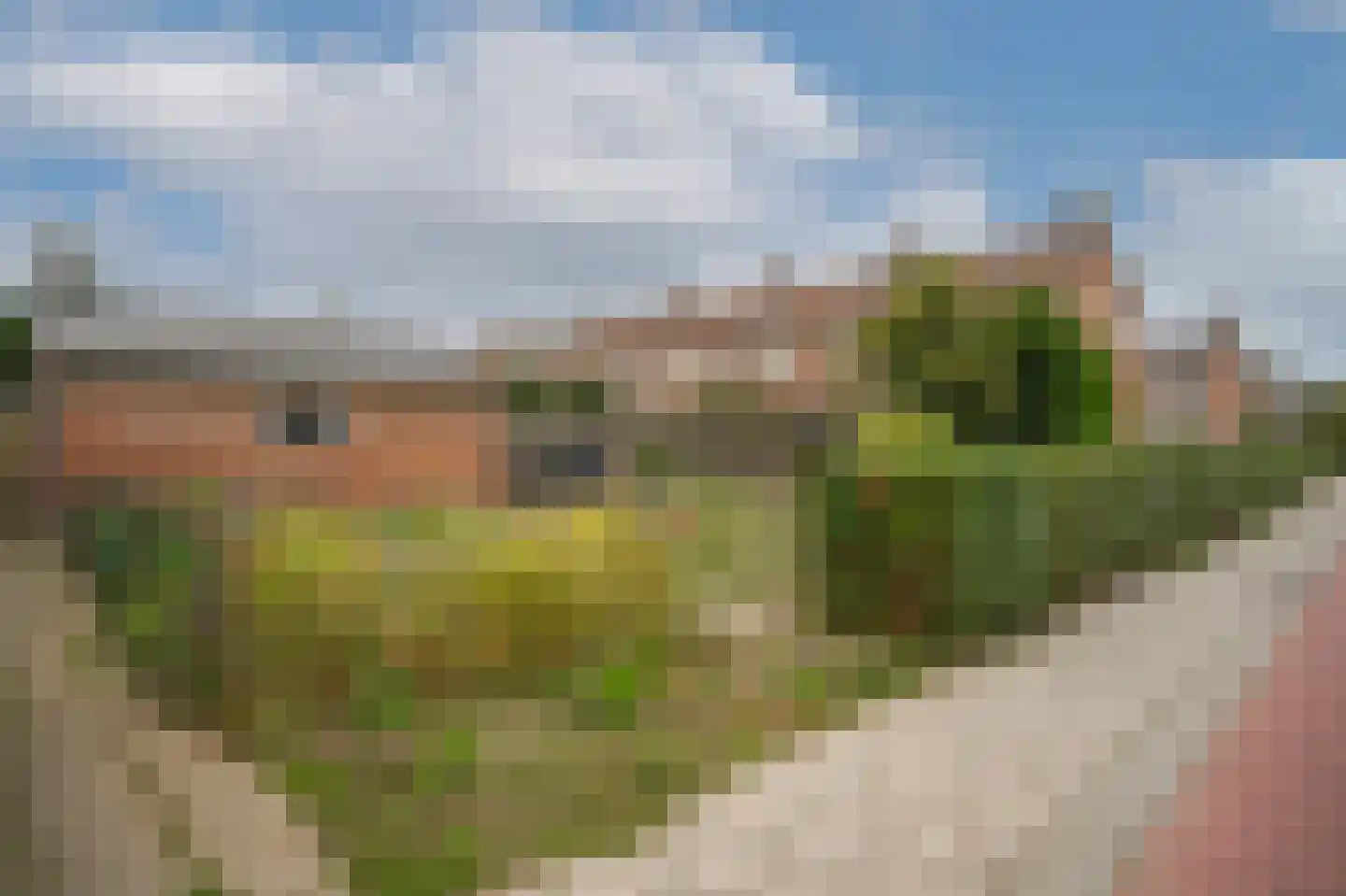Patrijsstraat 20 Opheusden thumbnail 27