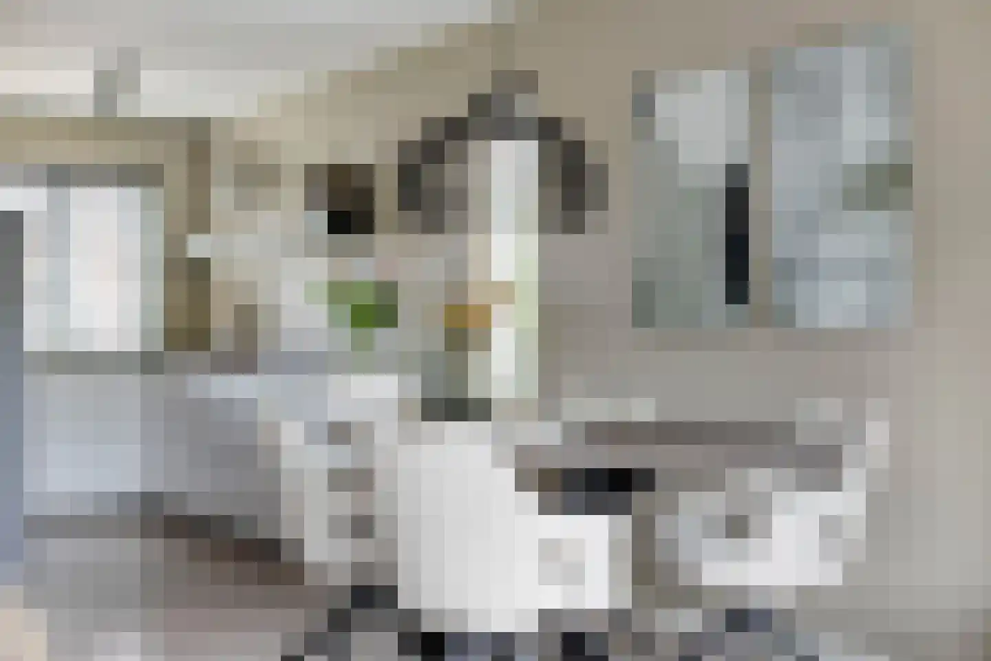 Patrijsstraat 21 Beneden-Leeuwen thumbnail 17