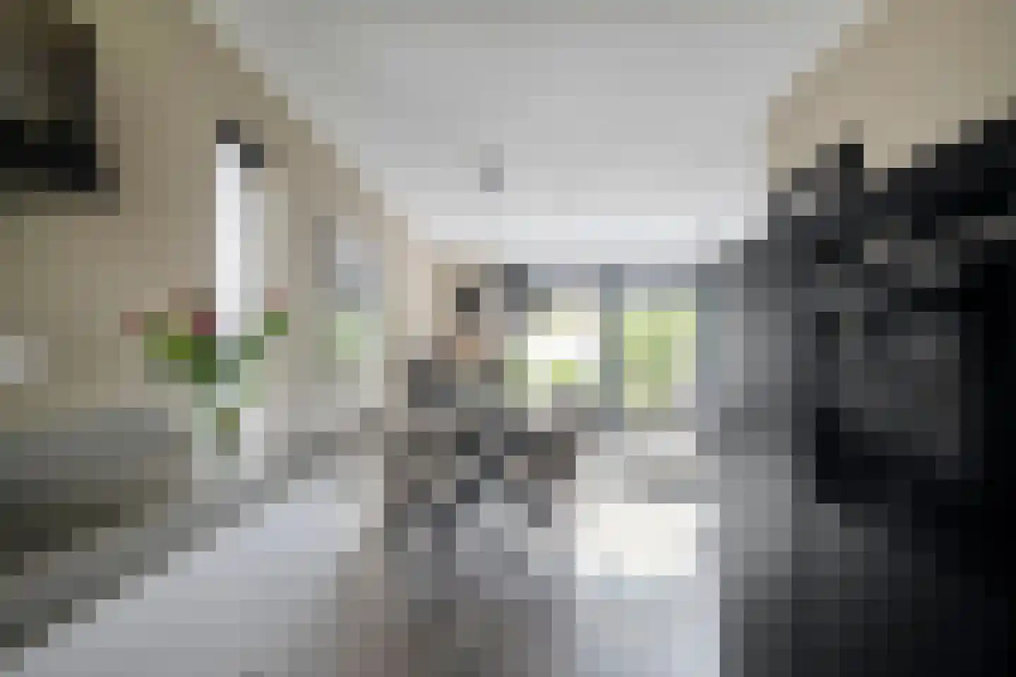 Patrijsstraat 21 Beneden-Leeuwen thumbnail 18
