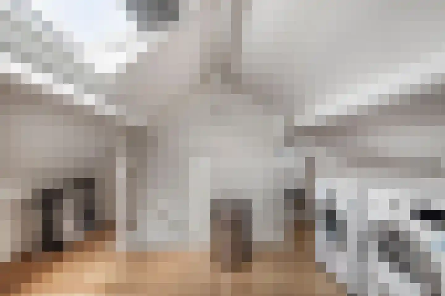 Patrijsstraat 21 Beneden-Leeuwen thumbnail 30