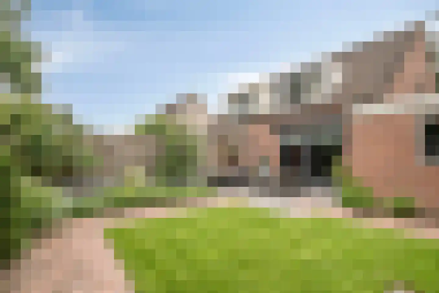 Patrijsstraat 21 Beneden-Leeuwen thumbnail 31