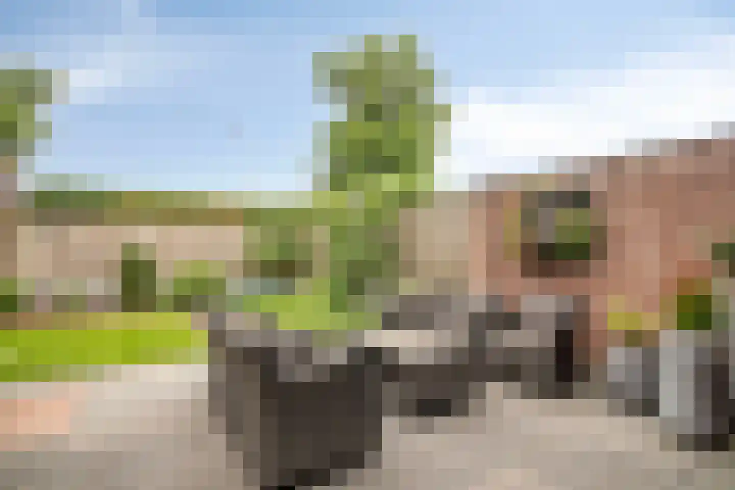 Patrijsstraat 21 Beneden-Leeuwen thumbnail 32