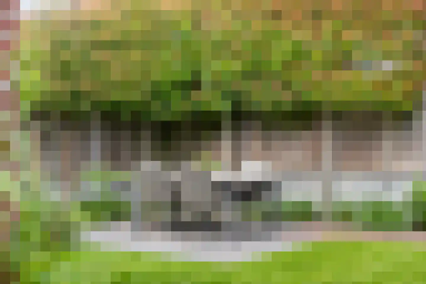 Patrijsstraat 21 Beneden-Leeuwen thumbnail 34