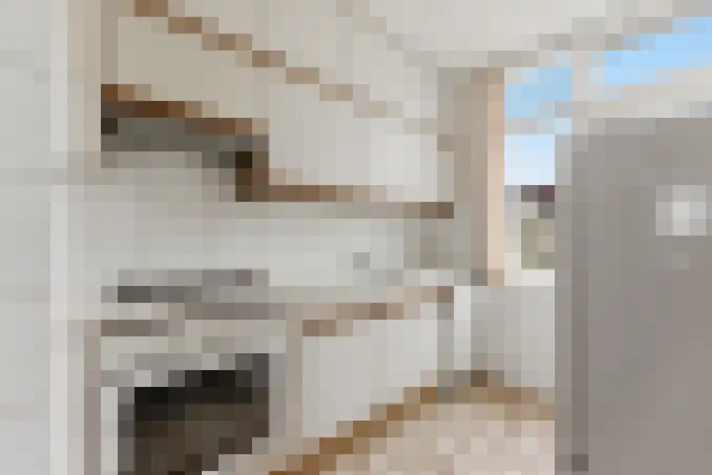 Patrijsstraat 24 Alblasserdam thumbnail 11