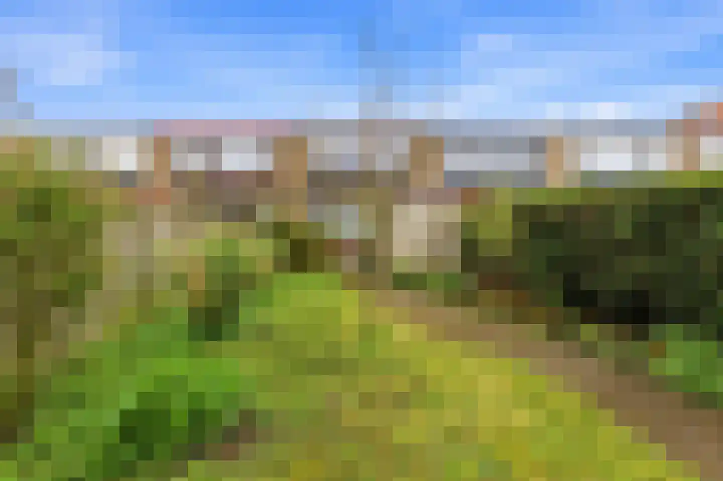 Patrijsstraat 24 Alblasserdam thumbnail 26