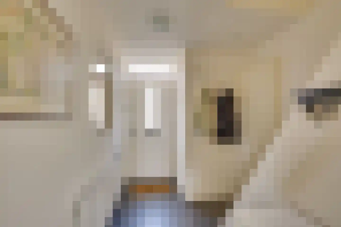 Patrijsstraat 24 Helmond thumbnail 10
