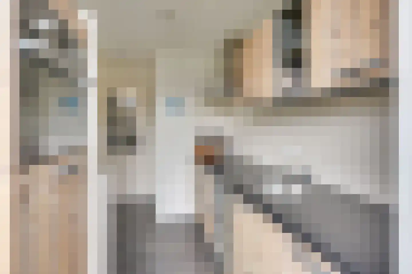 Patrijsstraat 24 Helmond thumbnail 18