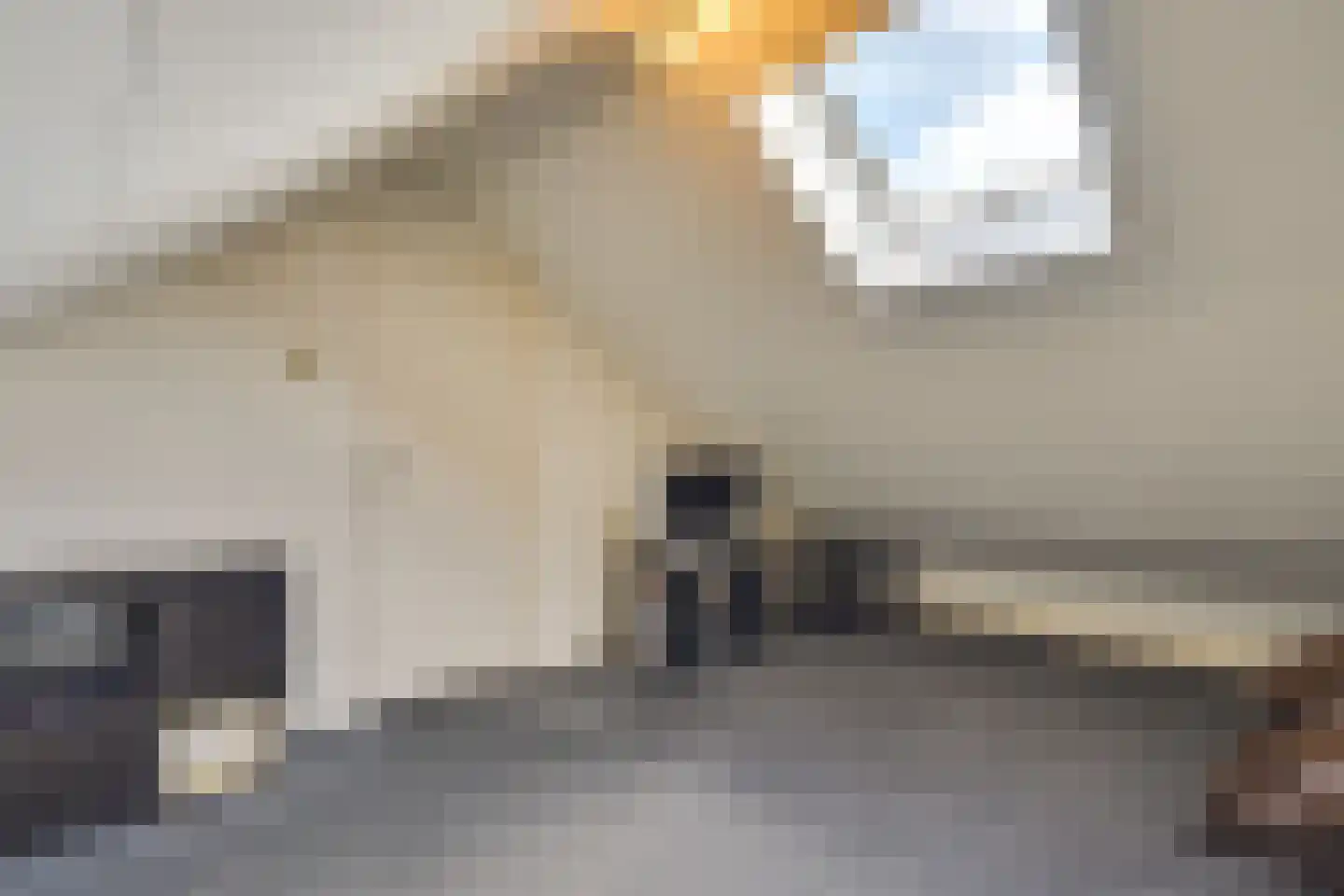 Patrijsstraat 24 Helmond thumbnail 32