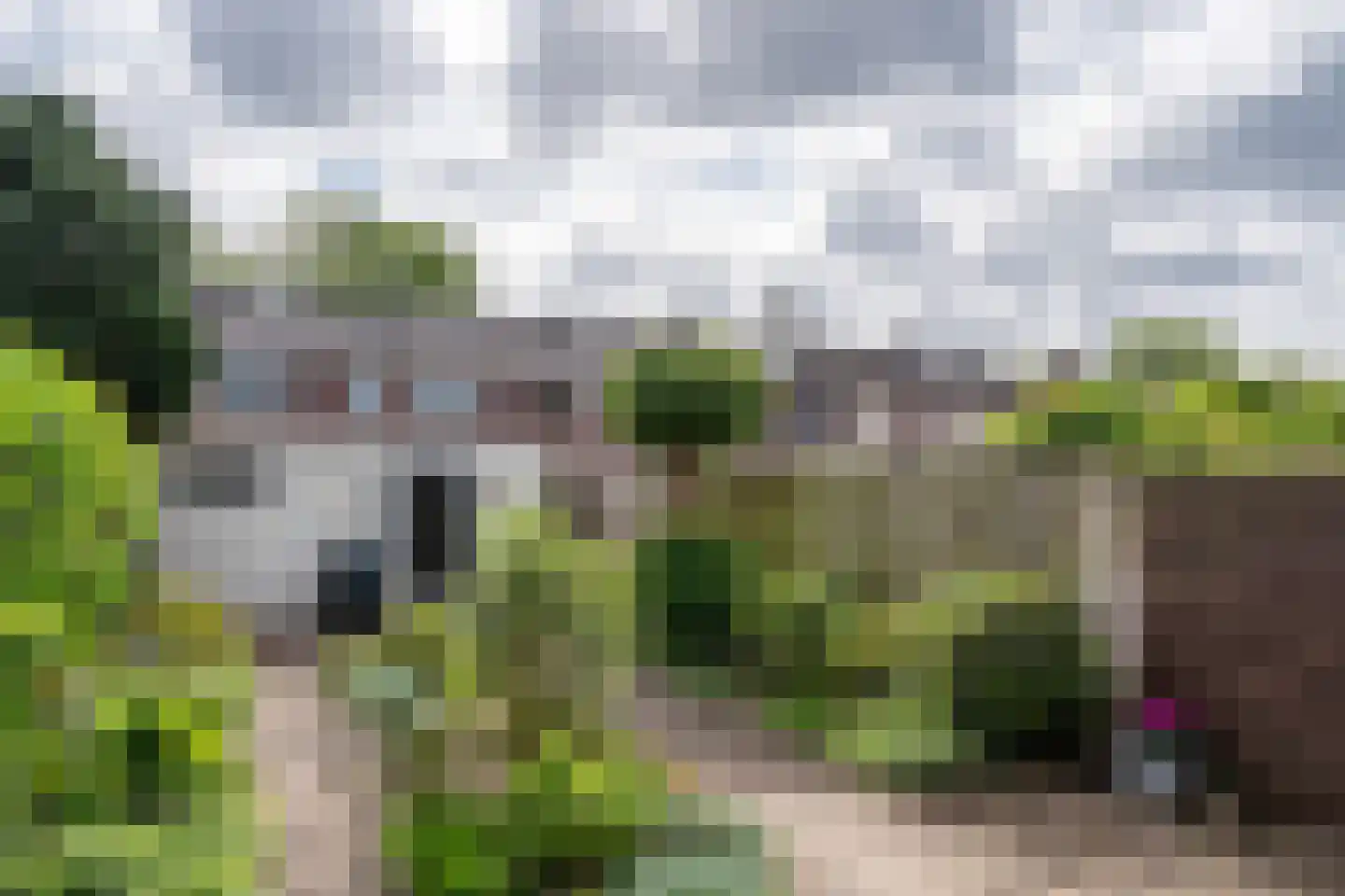 Patrijsstraat 24 Helmond thumbnail 4