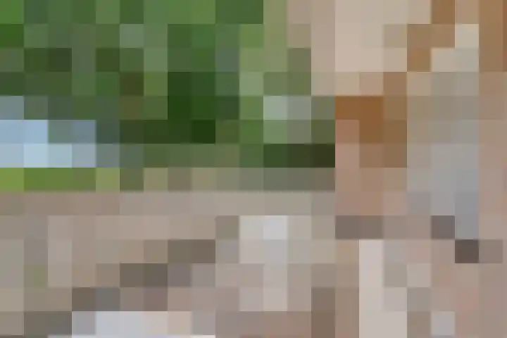 Patrijsstraat 24 Wijchen thumbnail 15