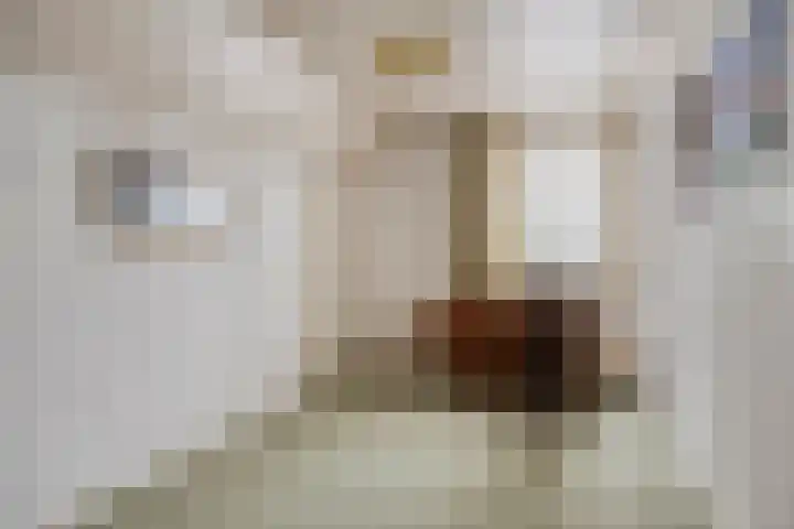 Patrijsstraat 24 Wijchen thumbnail 16