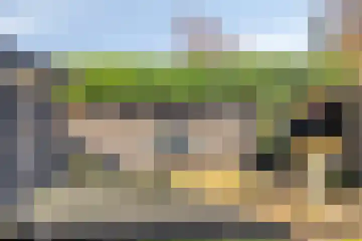 Patrijsstraat 24 Wijchen thumbnail 28