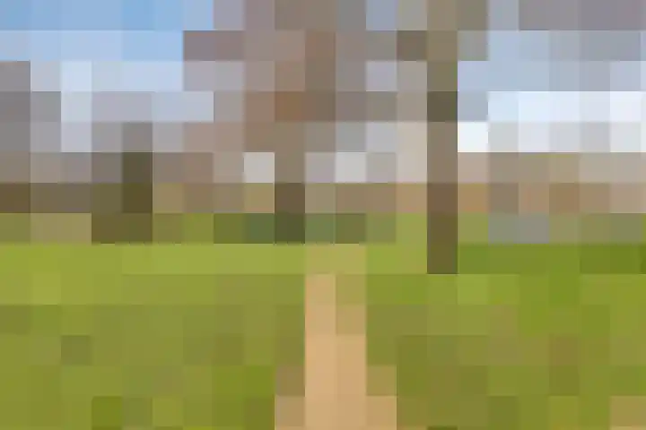Patrijsstraat 24 Wijchen thumbnail 39