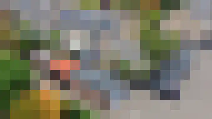 Patrijsstraat 24 Wijchen thumbnail 44
