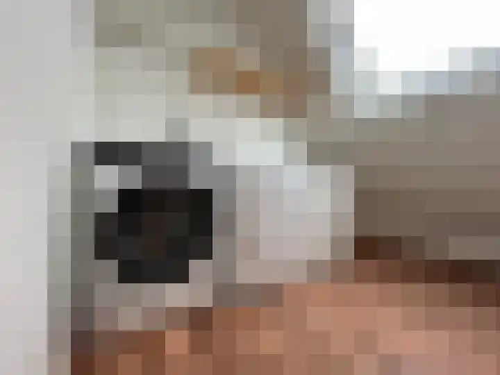 Patrijsstraat 24 Wijchen thumbnail 5