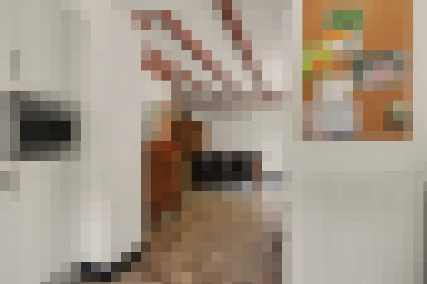 Patrijsstraat 26 Made thumbnail 18