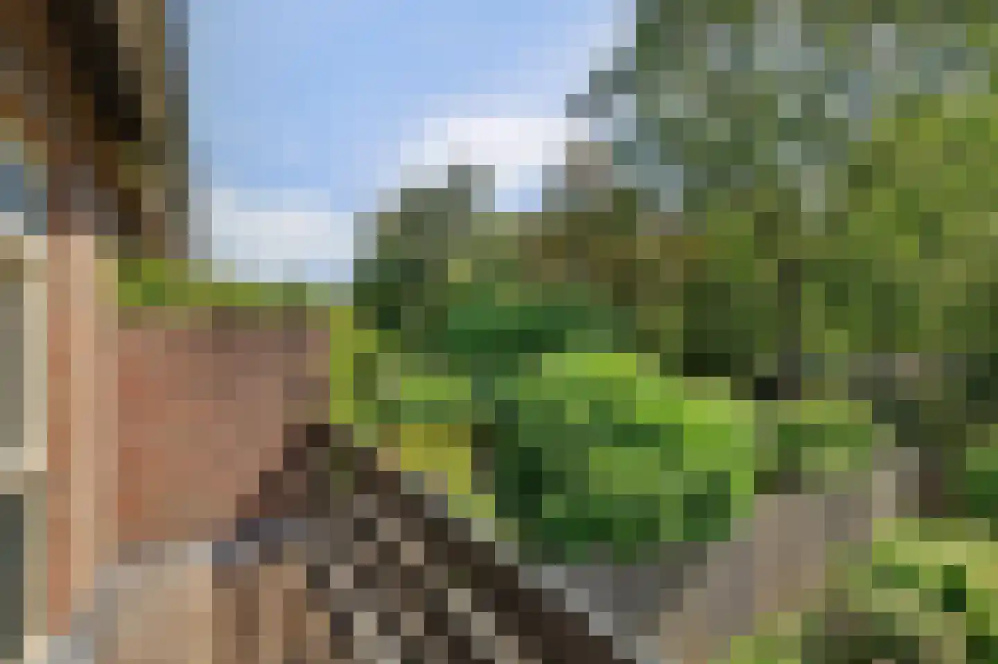Patrijsstraat 26 Made thumbnail 48