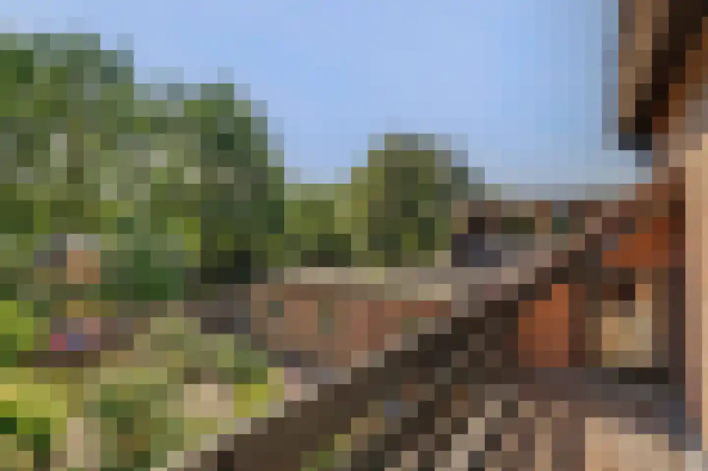 Patrijsstraat 26 Made thumbnail 49