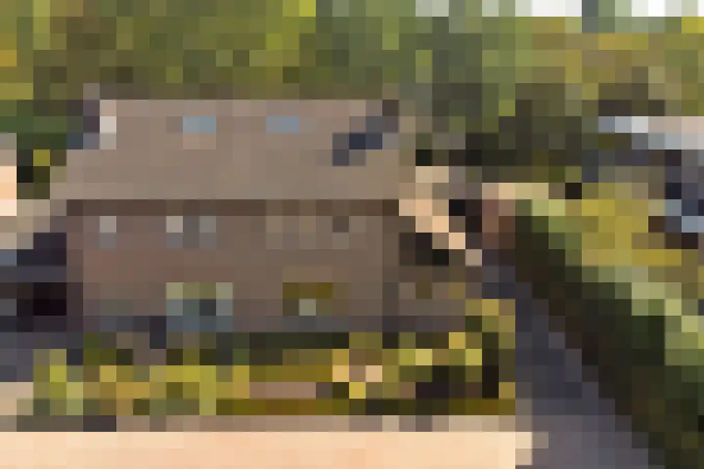 Patrijsstraat 26 Made thumbnail 66