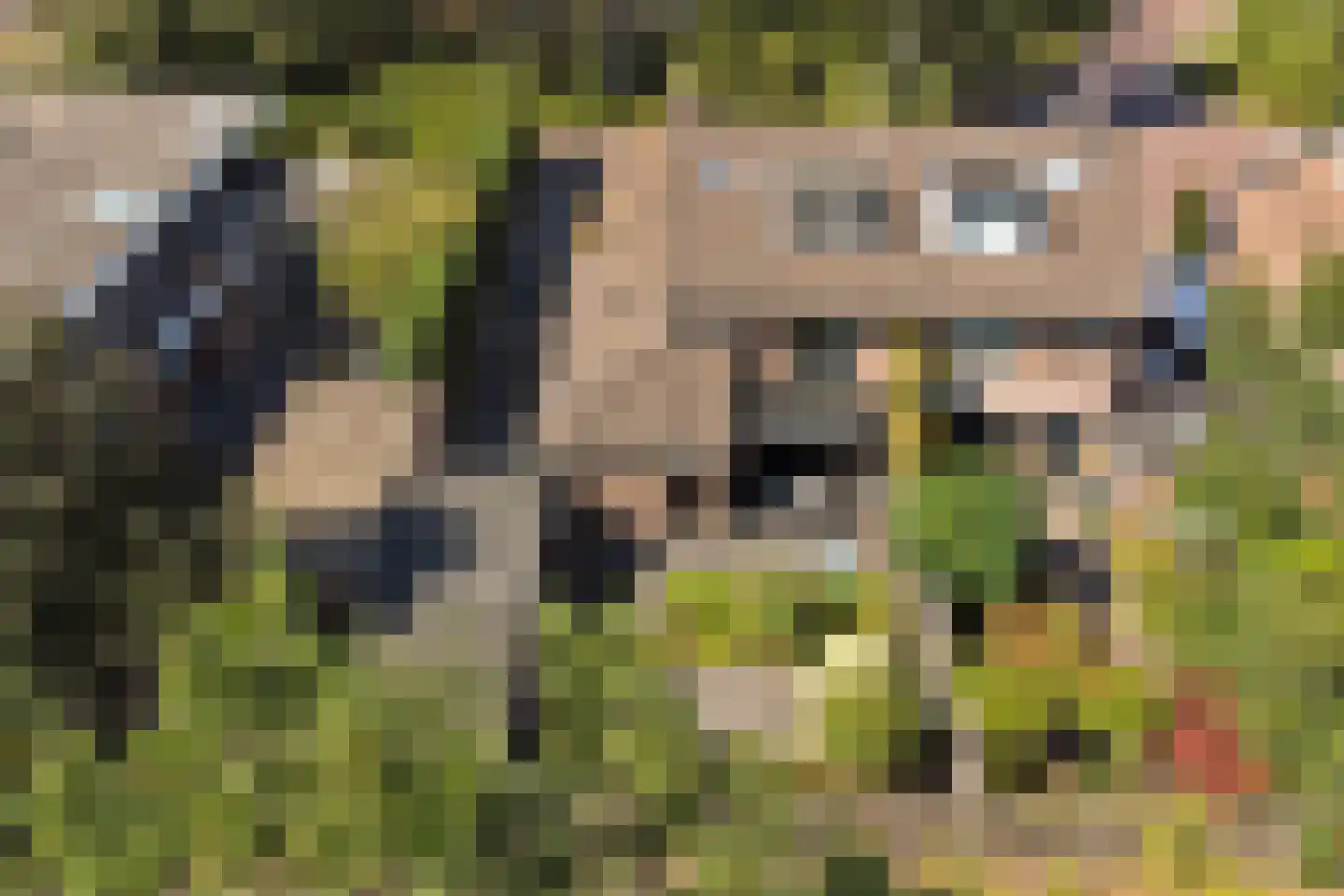 Patrijsstraat 26 Made thumbnail 69