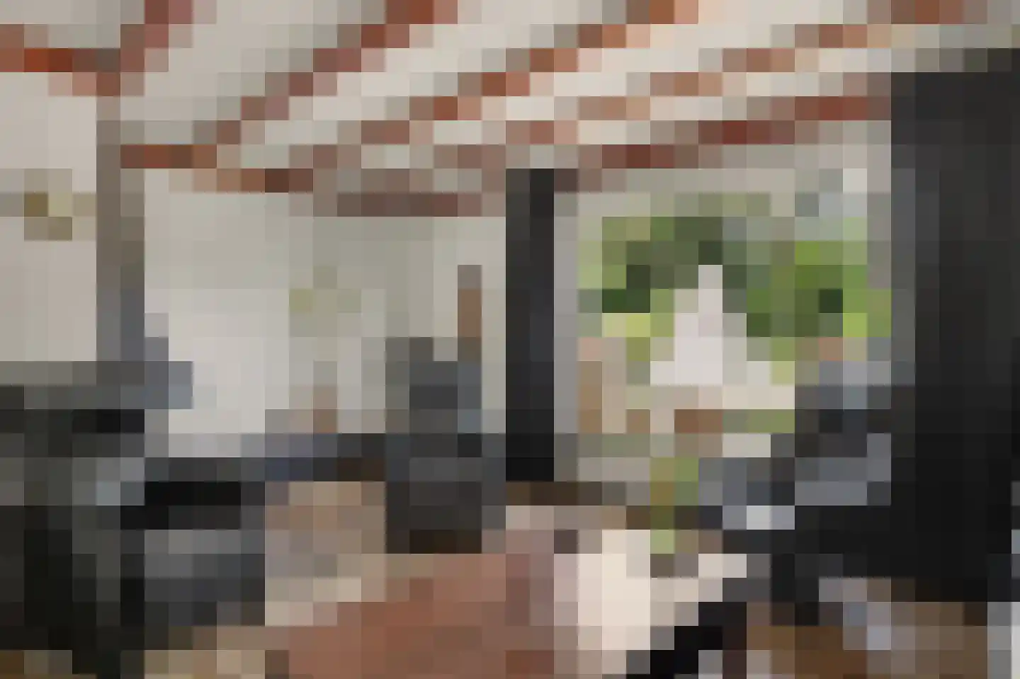Patrijsstraat 26 Made thumbnail 7