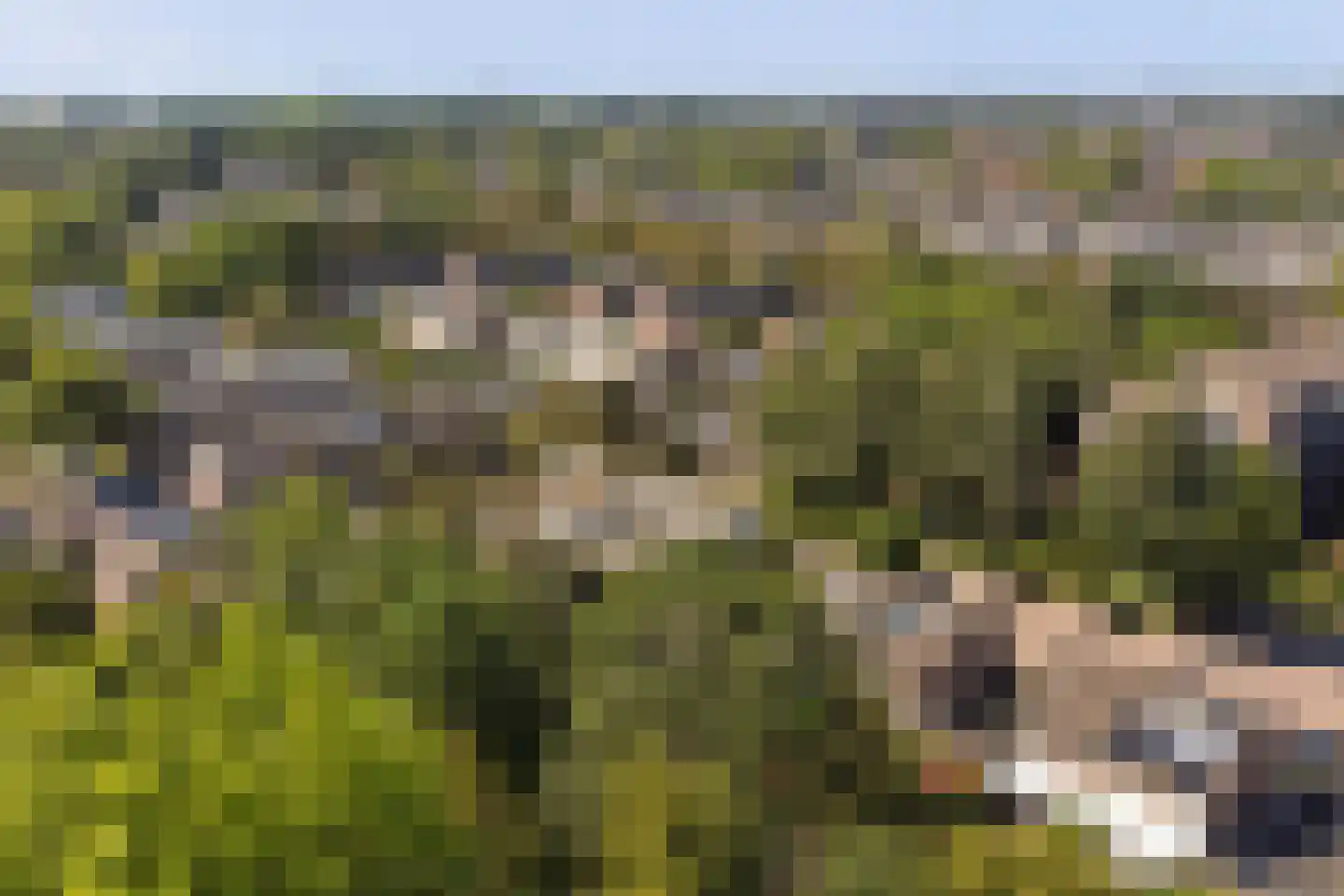 Patrijsstraat 26 Made thumbnail 71