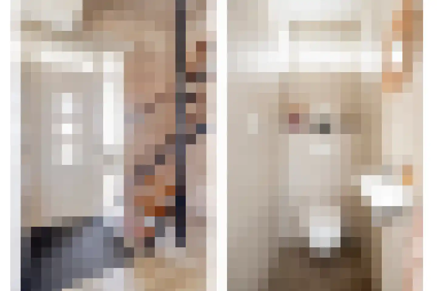 Patrijsstraat 3 Neede thumbnail 14