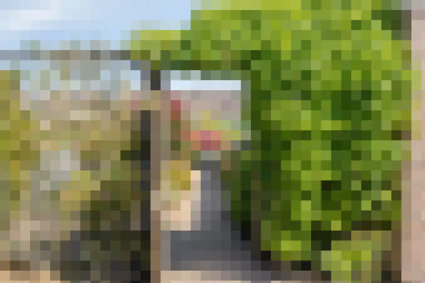 Patrijsstraat 3 Neede thumbnail 31