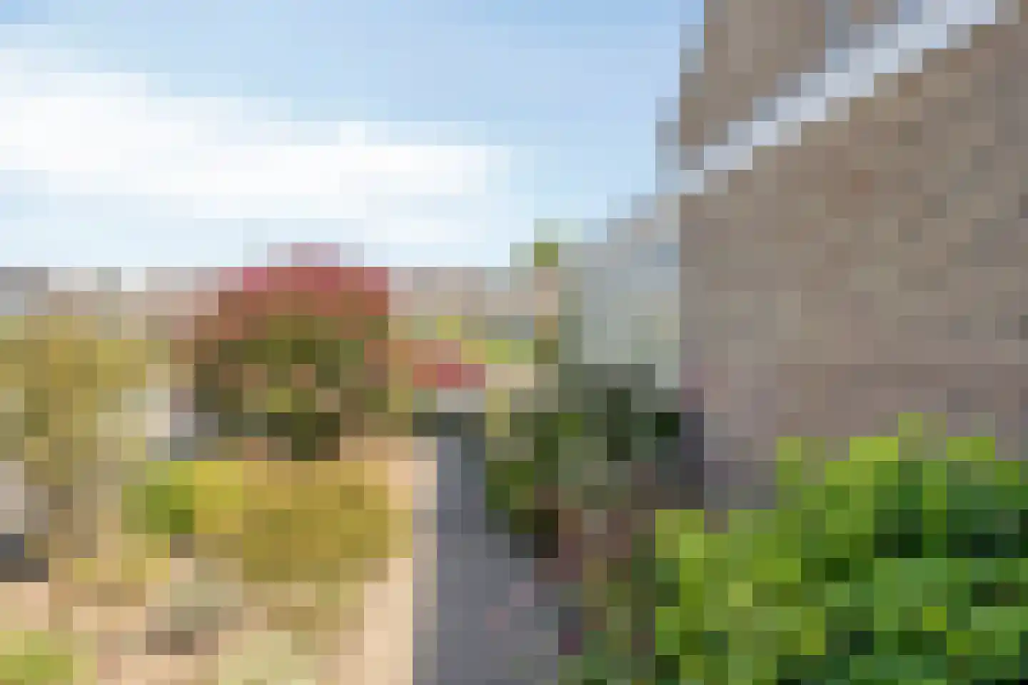 Patrijsstraat 3 Neede thumbnail 32