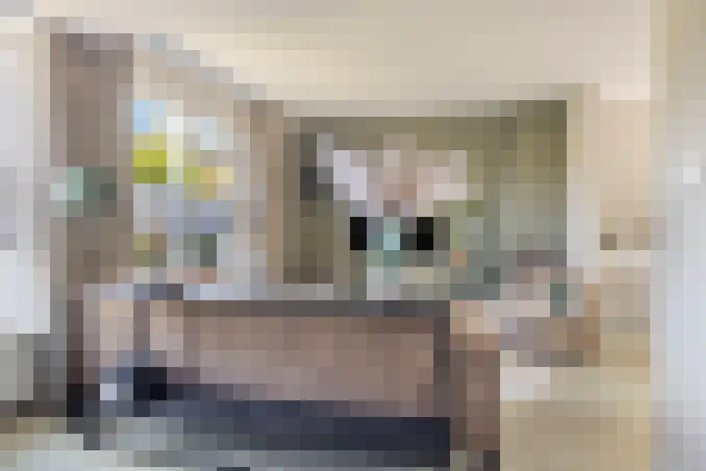 Patrijsstraat 3 Neede thumbnail 7